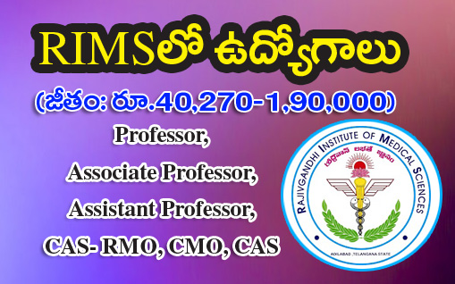 Jobs in RIMS Adilabad