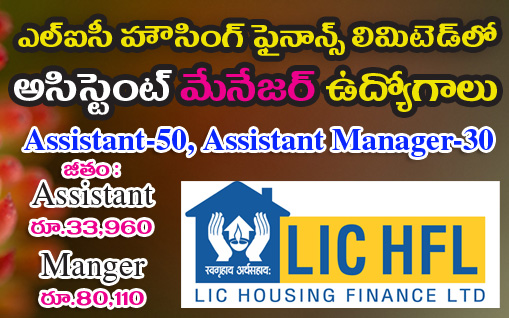 Jobs in LIC HFL