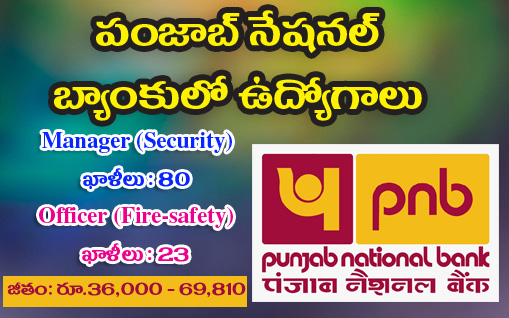 Jobs in Punjab National Bank