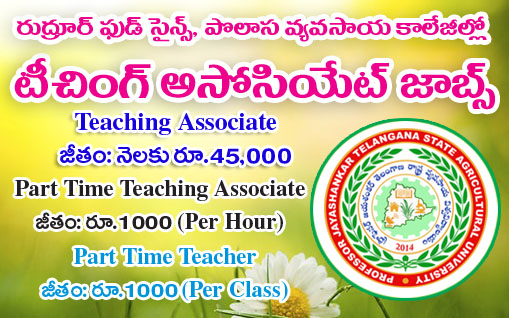 Teaching Associate Jobs