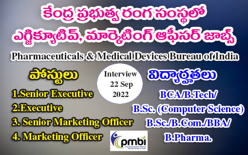 Executive and Marketing Officer Jobs