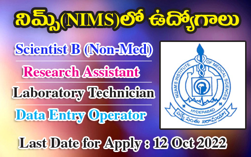 Jobs in NIMS