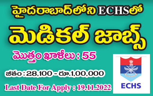 Medical Jobs in ECHS