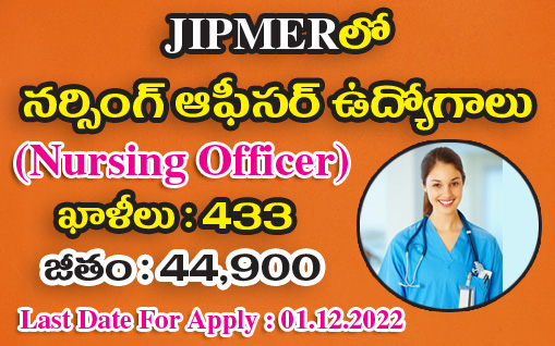 Nursing Officer Jobs