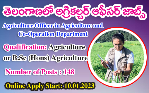 AO Jobs in Telangana