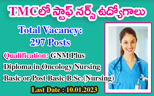 Staff Nurse Jobs in TMH