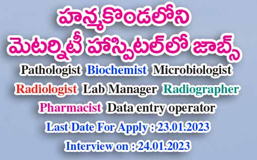 Jobs in Hanamkonda GMH