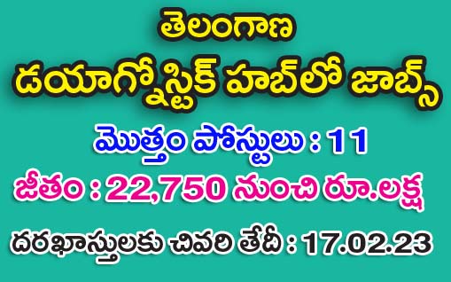 Jobs in Telangana Diagnostic Hub