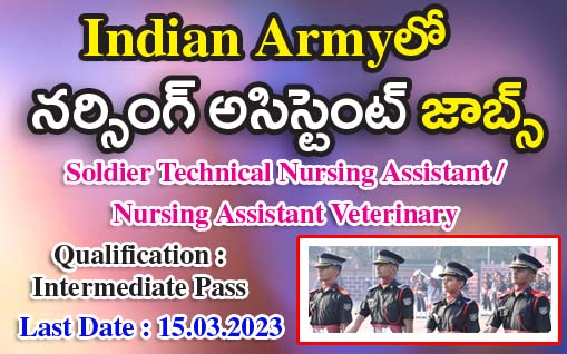 Nursing Assistant Jobs in Army