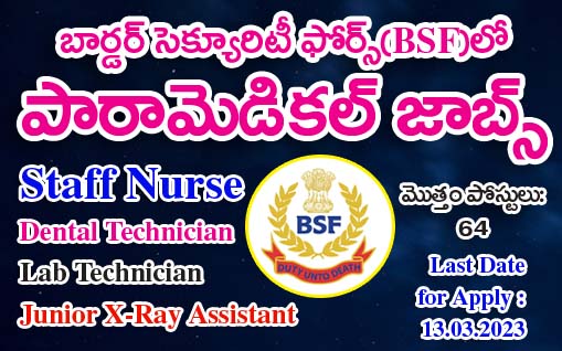 Para Medical Jobs in BSF