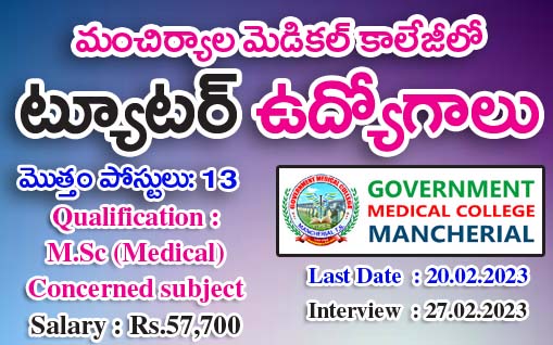 Tutor Jobs in Mancherial GMC