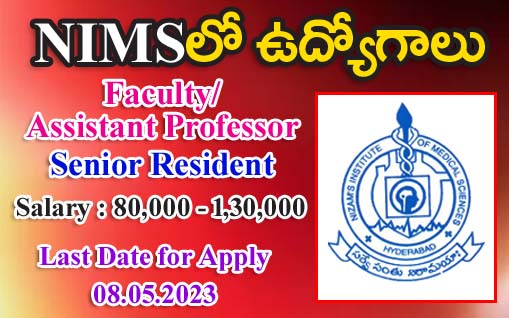 Faculty SR Jobs in Nims