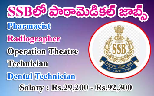 Para Medical Jobs in SSB